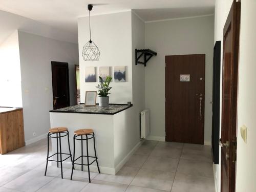 Apartament Olszynka in Ilha de Sobieszewo