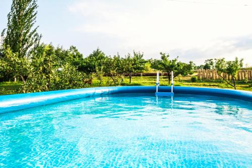 Garden, Oazis in Shahumyan