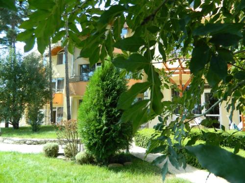 Family Hotel Privileg – Sunny Beach, WY