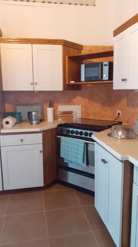 Kitchen, Sea Salt Apartment in St Georges Countryside