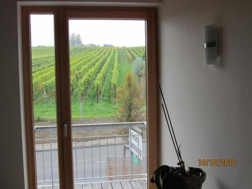 Uitzicht, Ferienwohnung Schmid in Hagnau