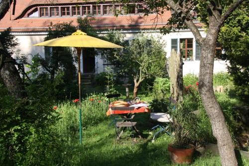Poncet´sches Herrenhaus, Drezno (zdjęcie 9)