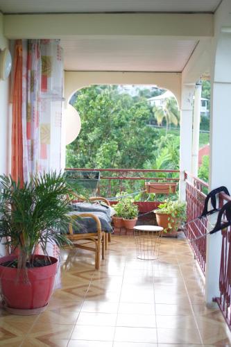 Restaurante, The Kapokier in Saint-Pierre