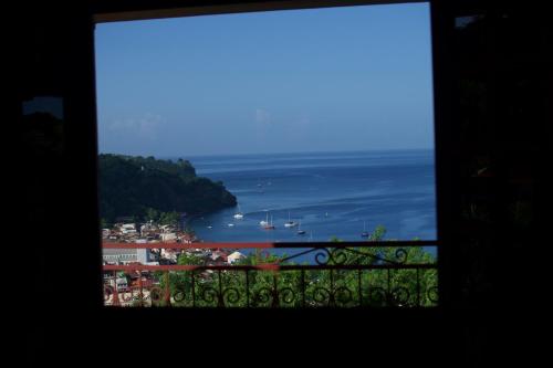 Alrededores, The Kapokier in Saint-Pierre