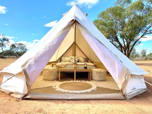 Mungo Roo Bunkhouse and Glamping