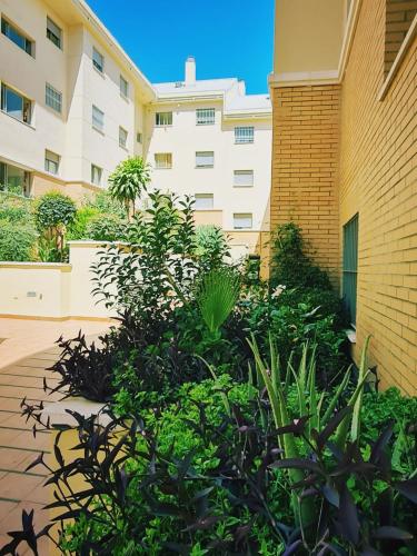 Fantastico Apartamento en San Pedro