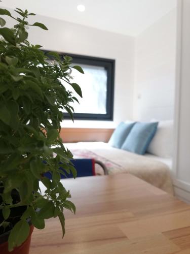 Cozy Tiny House Surrounded by Olive Grove near Beach in Ayvacik