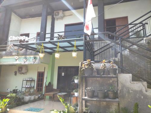 Cheap Inn Banyuwangi