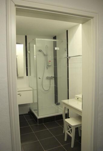 Old Vienna Apartments - image 2