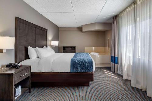 Comfort Inn - image 11