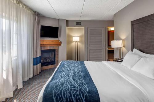 Comfort Inn - image 8