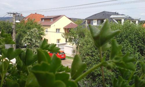 Apartman Balazs