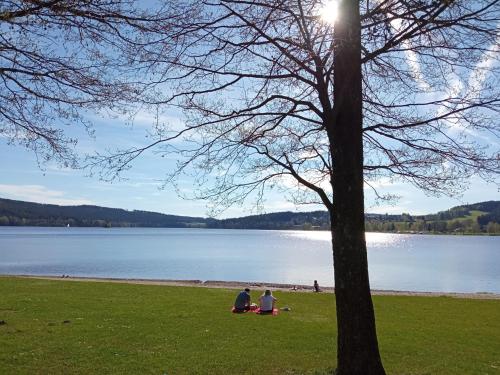 ranta, Apartman29 in Lipno nad Vltavou