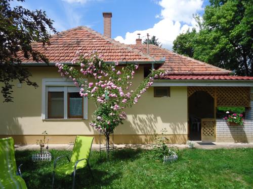Kert, Vida-lak in Berekfürdő