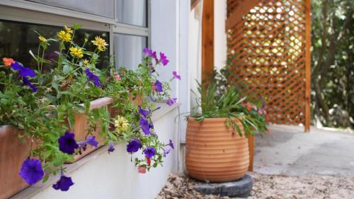 Létesítmények, בין האלונים in Pki'in