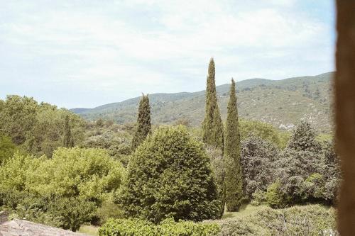 Le Galinier, Lourmarin, an authentic Beaumier Guesthouse