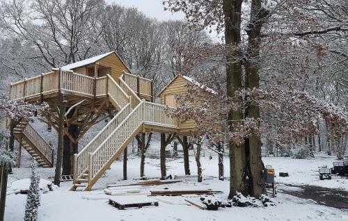 Oakside Tree Tops - image 9