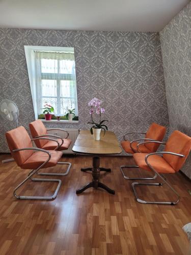 Pieschen Hertz _toller Preis, Drážďany (fotografie 9)