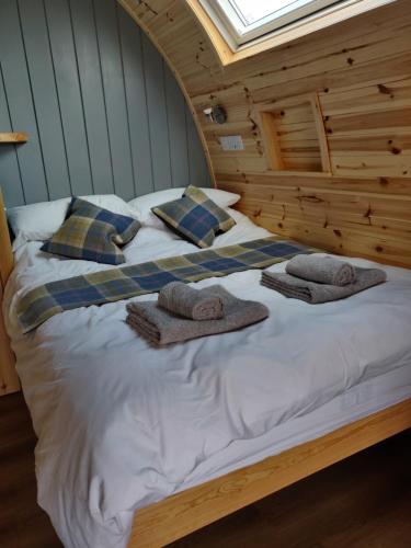 Braeview Glamping in Coldingham