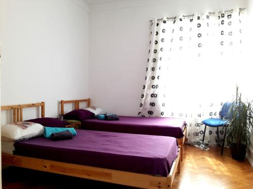 Mini Hostel in Lisbon, Lisabon (fotografie 9)