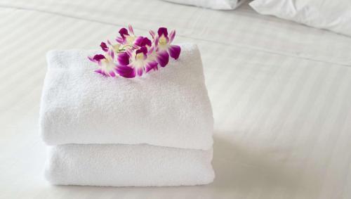 Pacific Heights Inn - image 23
