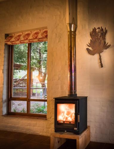 Aasvoelkrans B & B