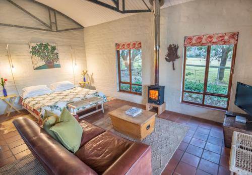 Aasvoelkrans B & B