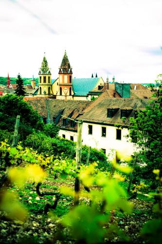 Youth Hostel Würzburg in Würzburg, Deutschland