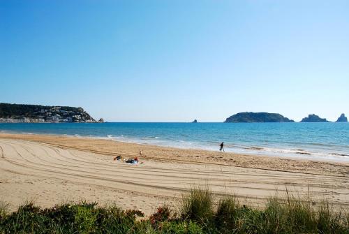 Torroella 89 - image 2