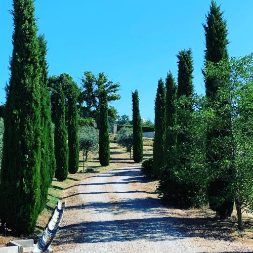  Villa Millefiore in Grutti