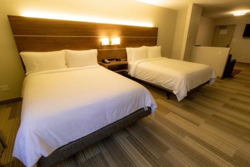 Holiday Inn Express & Suites Manassas an IHG Hotel - image 13