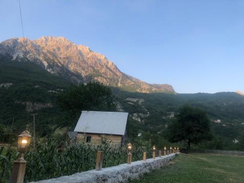 Bujtina Terthorja - image 13
