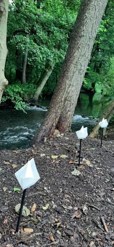 Ferienwohnung am Treene-Ufer bei Flensburg