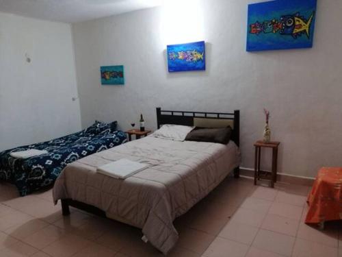 Private Room, Cozumel