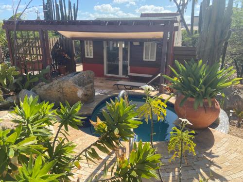 Cozy studio with private spa in Oranjestad