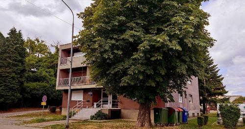 TP Apartman 1, Križevci (zdjęcie 3)