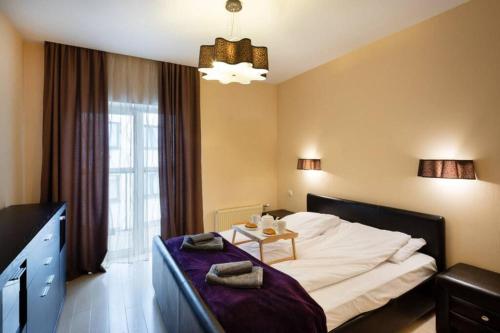 Old Riga Kaleju One Bedroom Apartment with Terrace