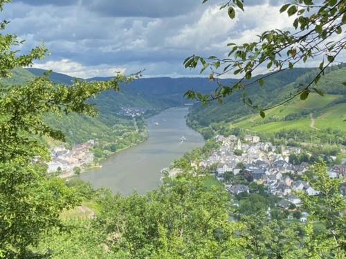 vakantiehuismoezel - image 9