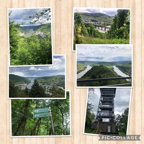 vakantiehuismoezel - image 5