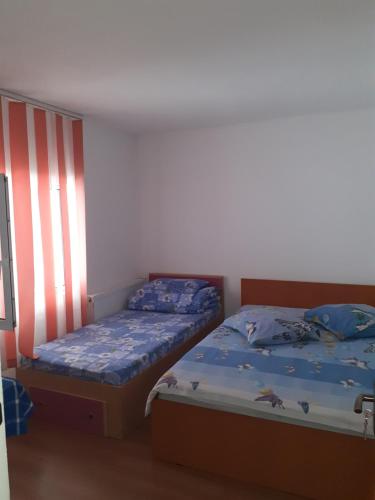Casa Denisa Vidraru transfgarasan