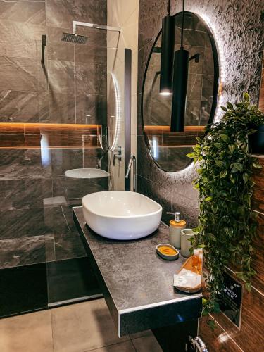B&B SALUS CIVICO 23 3