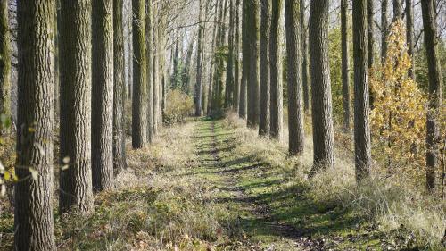 B&B Hemel & Haard - image 12