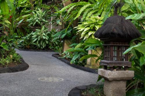 フランボヤン ホテル