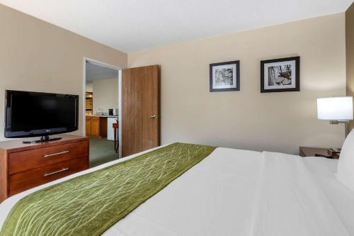 Comfort Inn Muscatine near Hwy 61 - image 11