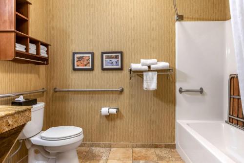 Comfort Inn Wings Stadium in Kalamazoo, USA