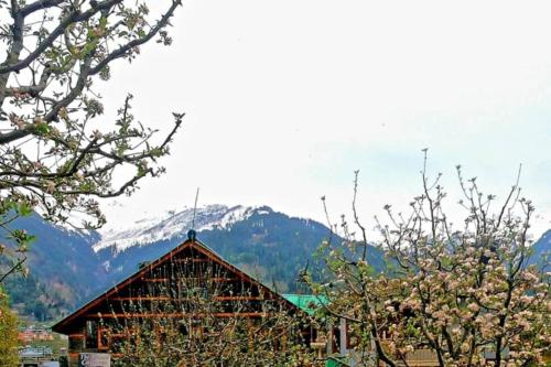 4BR Cottage Himalayas kitchen Mountain View