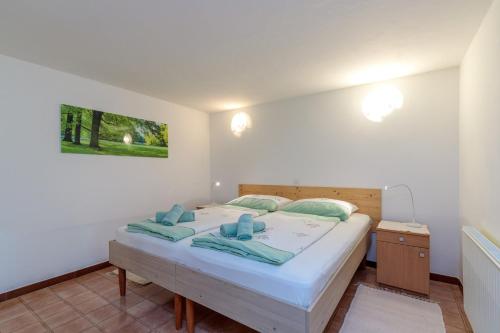 Studio Apartment Paljar - image 5
