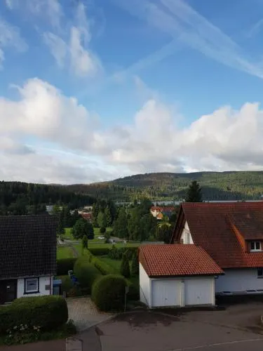 FeWo Untere Ringstrasse 3 in Schluchsee, Deutschland