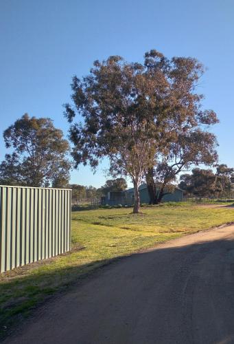 Buitenkant, Allonville Gardens Motel near Wagga Wagga Airport