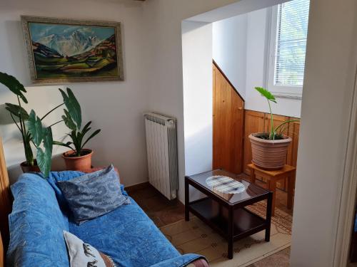 Apartment with Mountain View